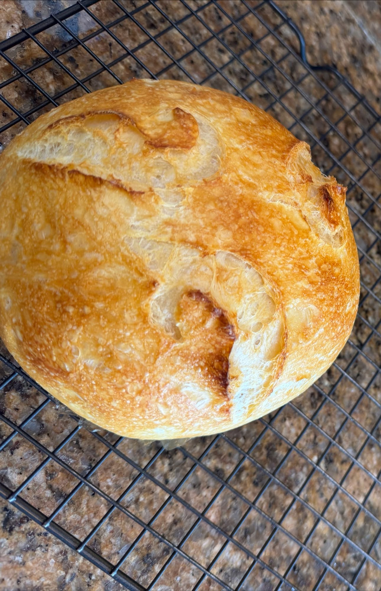 Sourdough boule