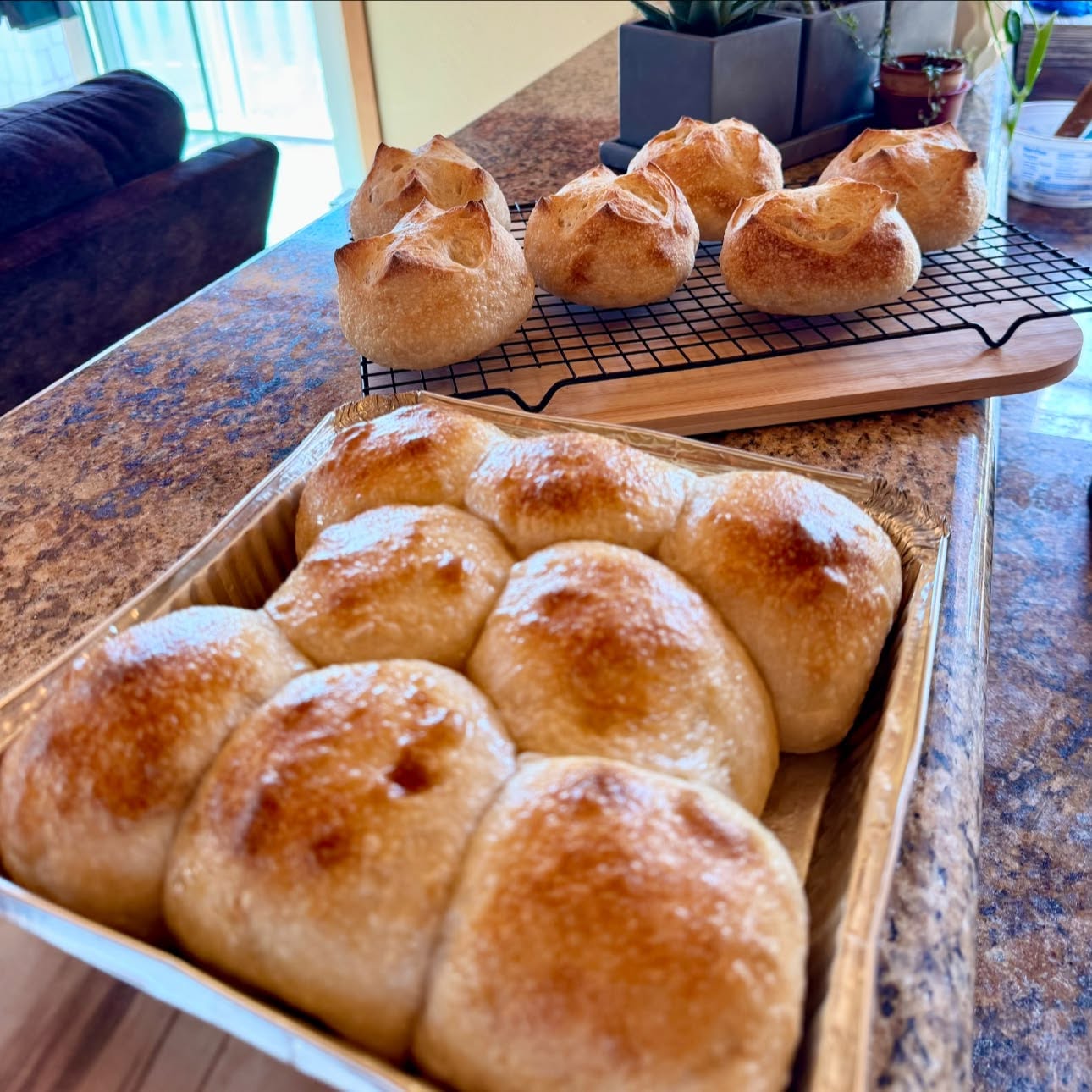 Dinner rolls on cooling rack